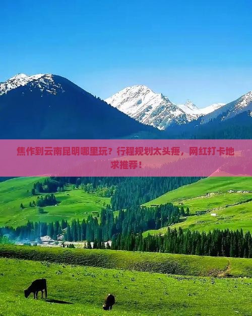 焦作到云南昆明哪里玩