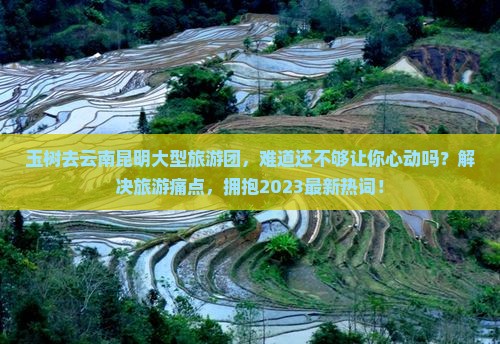 玉树去云南昆明大型旅游团