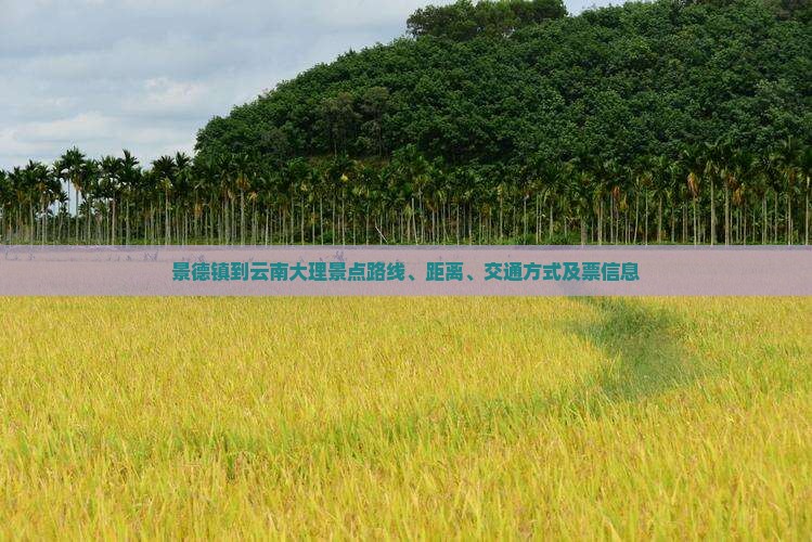 景德镇到云南大理景点