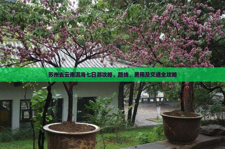 苏州去云南洱海七日游