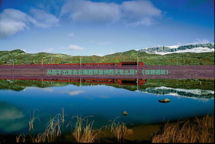 四平到云南西双版纳四日游
