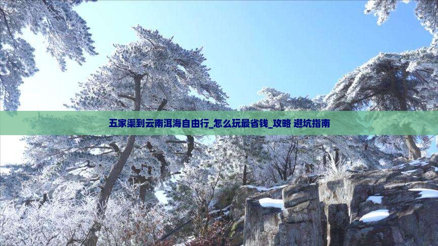 五家渠到云南洱海自由行