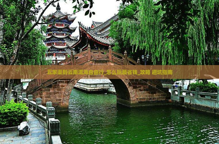 五家渠到云南洱海自由行