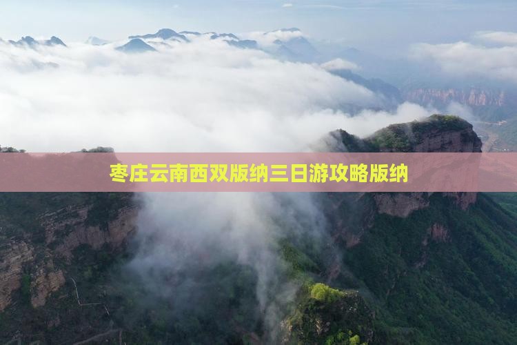 枣庄去云南西双版纳三日游