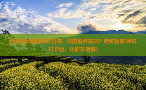 达州到云南昆明三日游