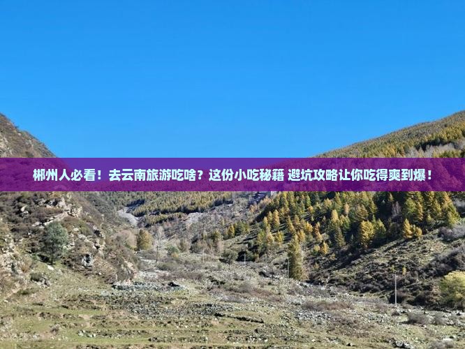 郴州去云南旅游小吃
