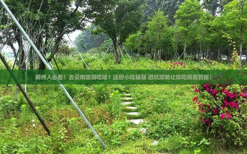 郴州去云南旅游小吃