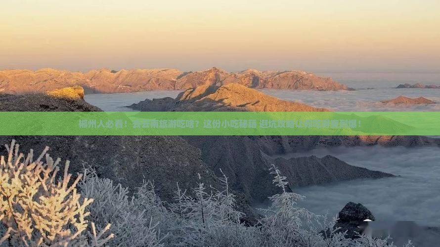 郴州去云南旅游小吃