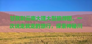 甘孜到云南大理大型旅游团