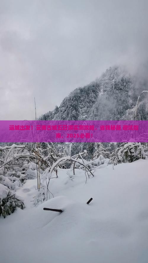 运城去云南古城五日游