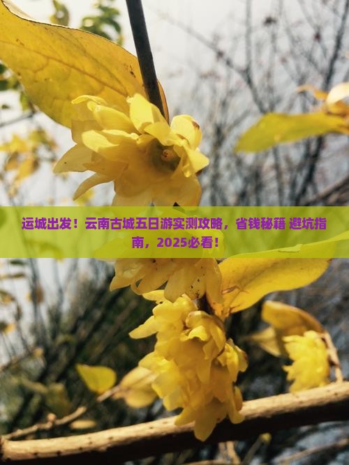 运城去云南古城五日游