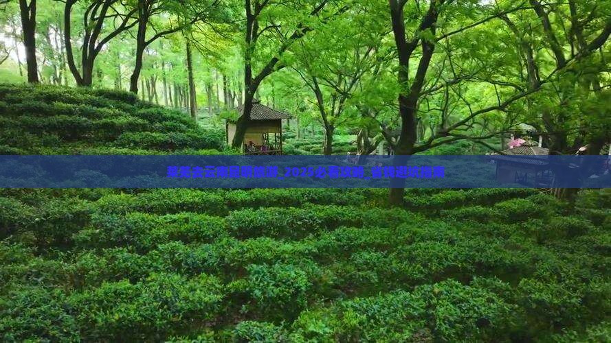 莱芜去云南昆明旅游