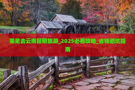 莱芜去云南昆明旅游