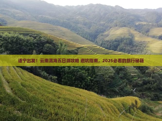 遂宁到云南洱海五日游