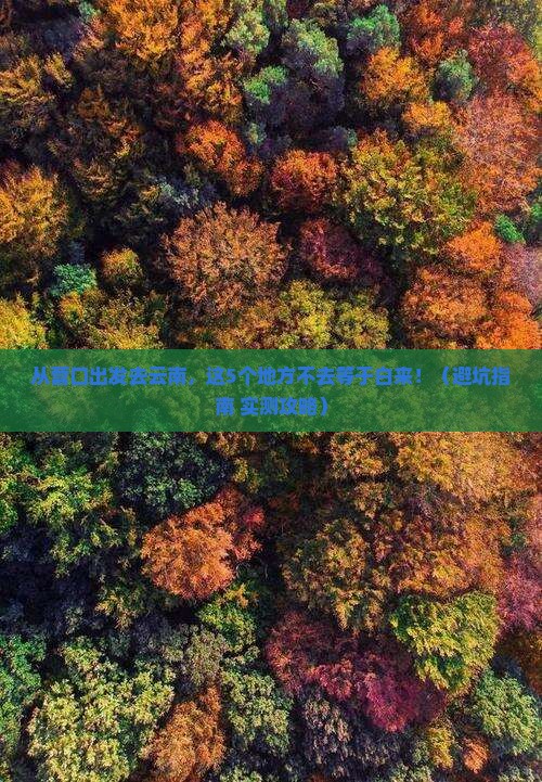 营口去云南必去地