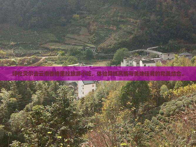呼伦贝尔去云南香格里拉旅游小吃
