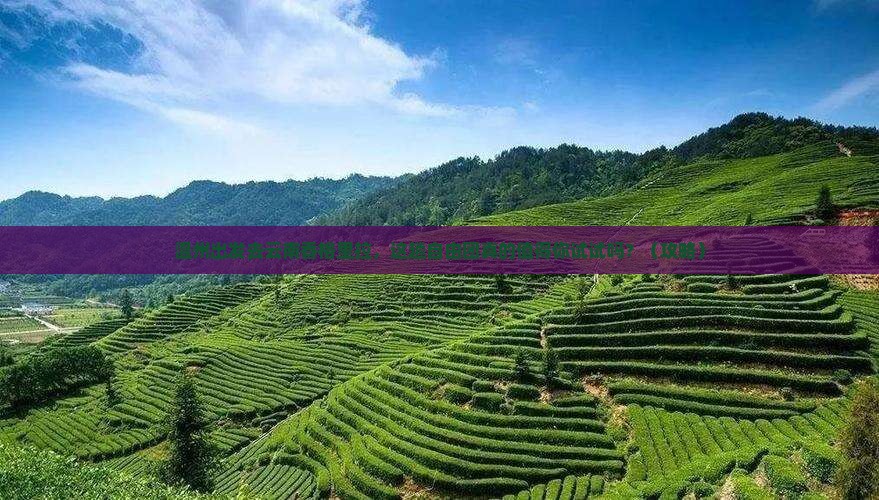 温州去云南香格里拉自由团