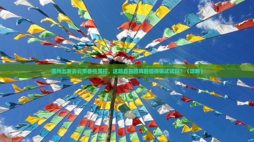温州去云南香格里拉自由团