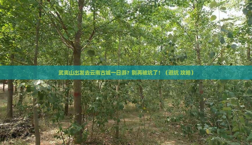 武夷山去云南古城一日 武夷山去云南古城一日