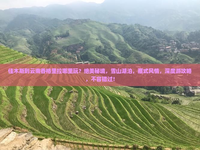 佳木斯到云南香格里拉哪里玩