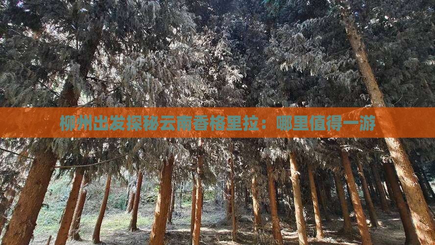 柳州出发探秘云南香格里拉：哪里值得一游