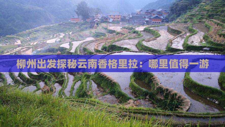 柳州出发探秘云南香格里拉：哪里值得一游