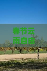 春节云南自由行精品小团，适合全家出游