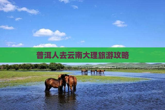 普洱人去云南大理旅游攻略