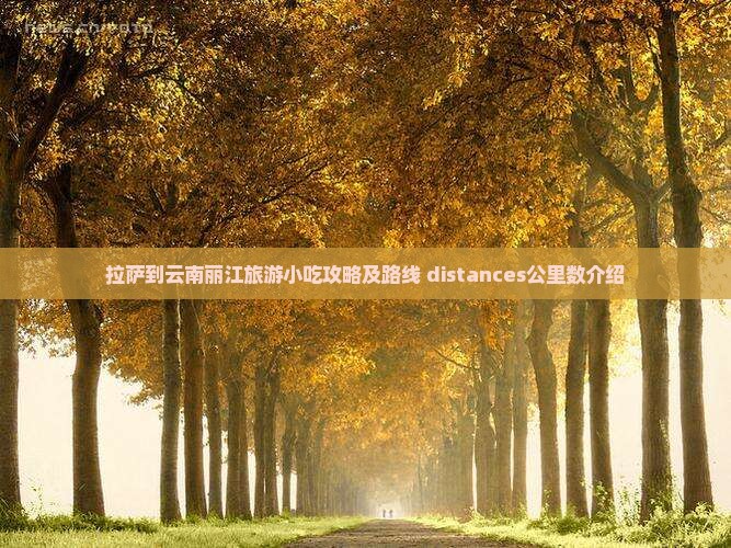拉萨到云南丽江旅游小吃攻略及路线 distances公里数介绍