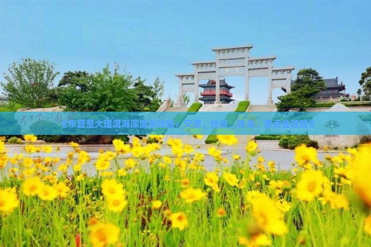 《东营至大理洱海深度游攻略：交通、住宿、美食、景点全攻略》