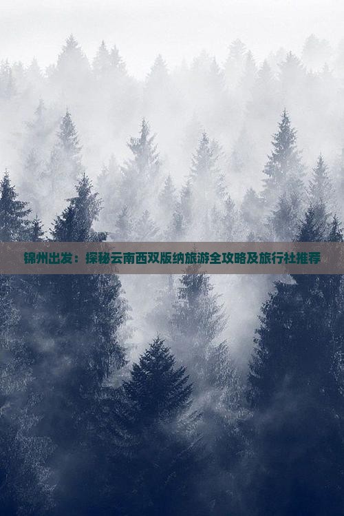 锦州出发：探秘云南西双版纳旅游全攻略及旅行社推荐