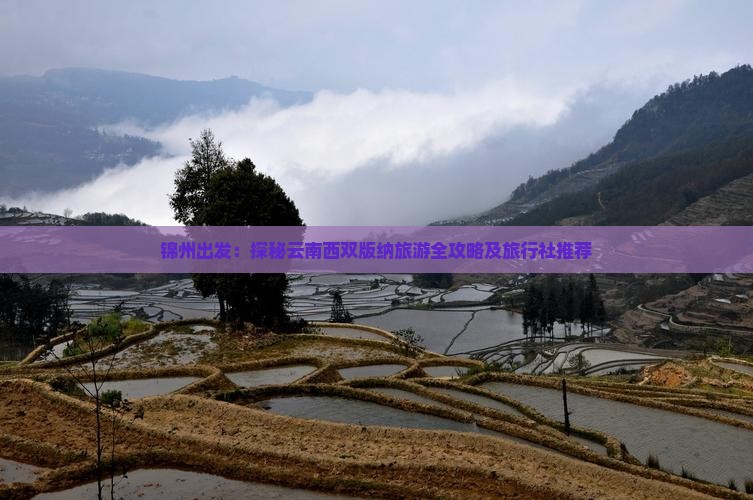锦州出发：探秘云南西双版纳旅游全攻略及旅行社推荐