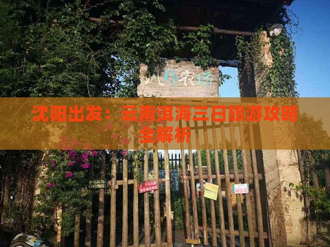 沈阳出发：云南洱海三日旅游攻略全解析