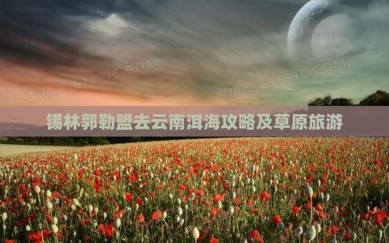 锡林郭勒盟去云南洱海攻略及草原旅游