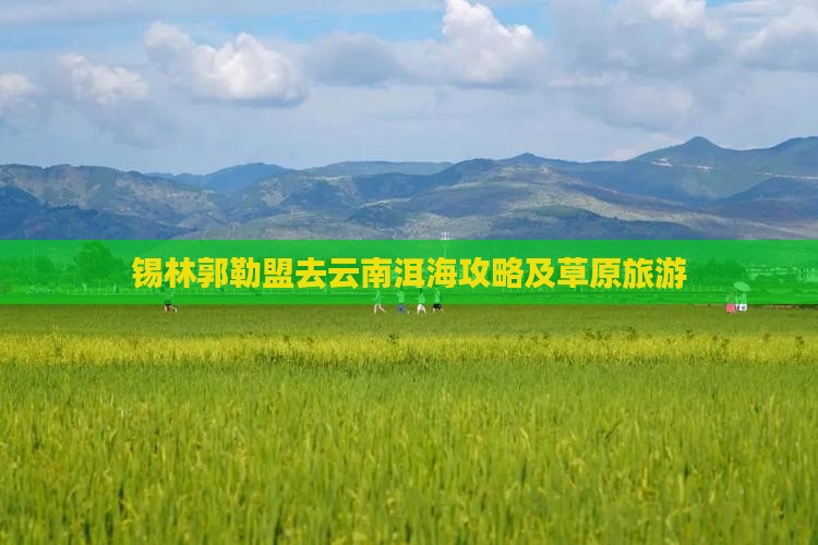 锡林郭勒盟去云南洱海攻略及草原旅游