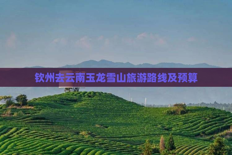 钦州去云南玉龙雪山旅游路线及预算