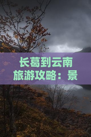 长葛到云南旅游攻略：景点推荐与行程规划