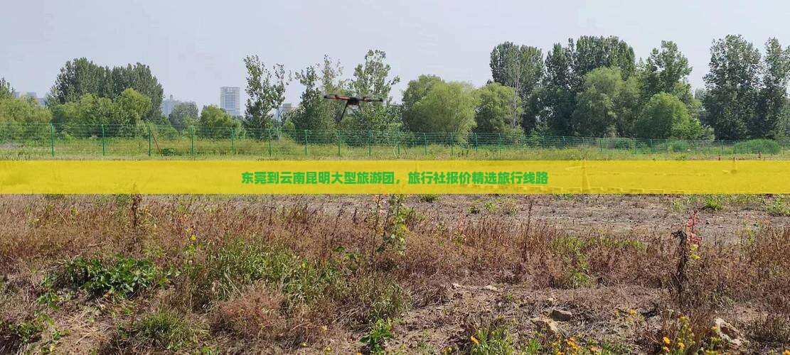 东莞到云南昆明大型旅游团，旅行社报价精选旅行线路