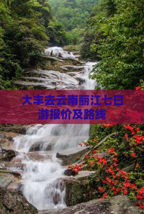 大丰去云南丽江七日游报价及路线