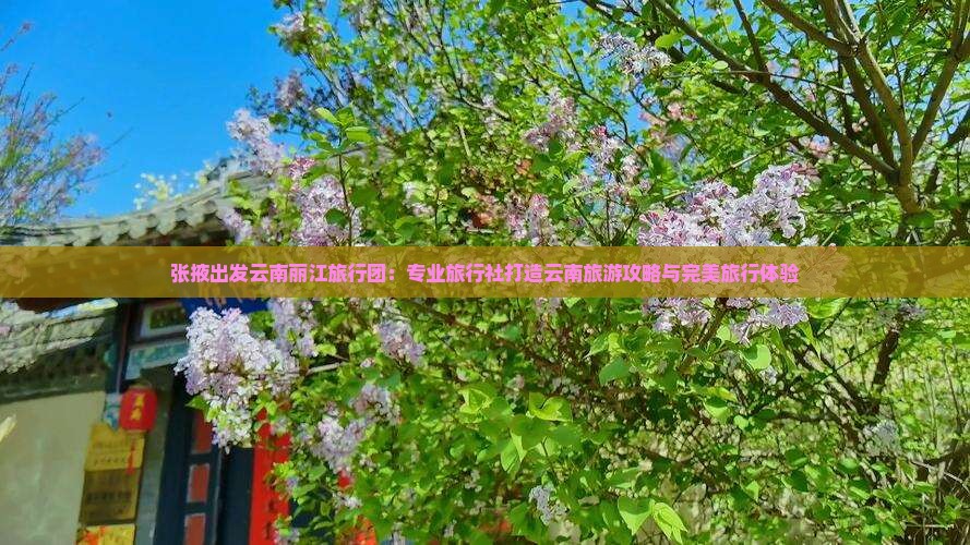 张掖出发云南丽江旅行团：专业旅行社打造云南旅游攻略与完美旅行体验