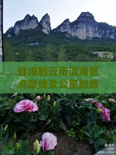 蚌埠到云南洱海景点路线及公里数旅游报价