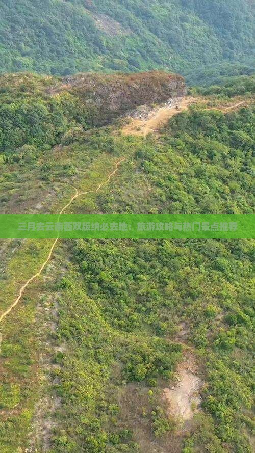 三月去云南西双版纳必去地：旅游攻略与热门景点推荐