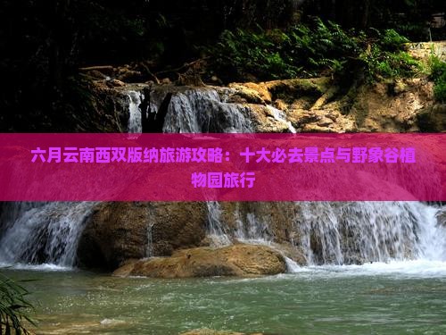 六月云南西双版纳旅游攻略：十大必去景点与野象谷植物园旅行