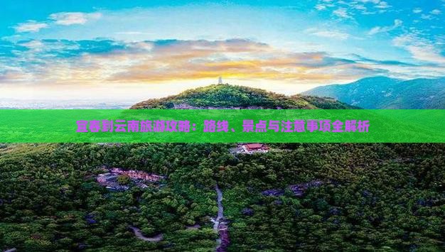 宜春到云南旅游攻略：路线、景点与注意事项全解析