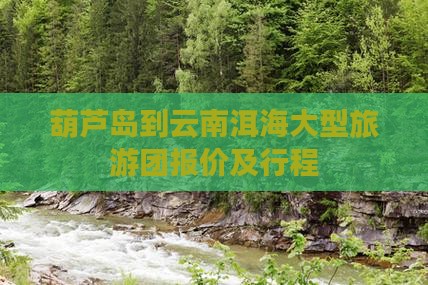 葫芦岛到云南洱海大型旅游团报价及行程