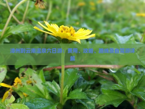 漳州到云南温泉六日游：费用、攻略、路线及自驾游详解