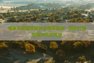 春季云南西双版纳全景深度游：团队行程攻略与特色体验