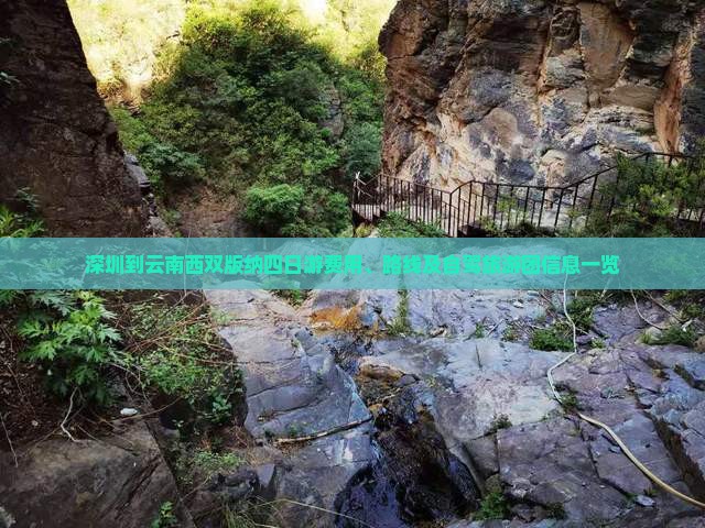 深圳到云南西双版纳四日游费用、路线及自驾旅游团信息一览