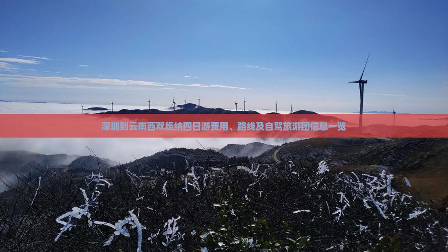 深圳到云南西双版纳四日游费用、路线及自驾旅游团信息一览