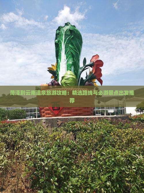 菏泽到云南温泉旅游攻略：精选路线与必游景点出发推荐